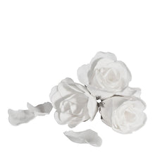 Charger l'image dans la galerie, Rose in Soap Petals.