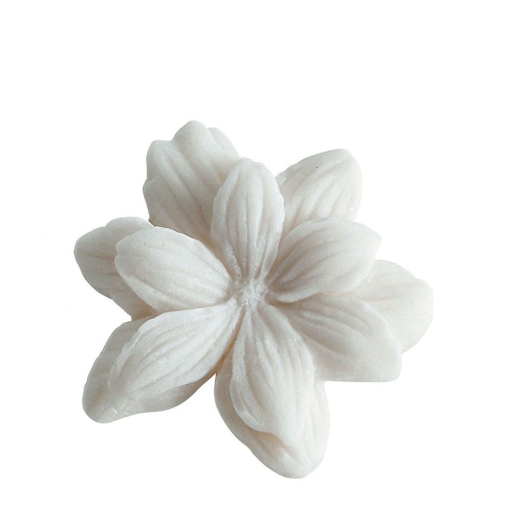 Box of 4 Jasmine Melting Decorations in Scented Wax - Sublime Jasmin..