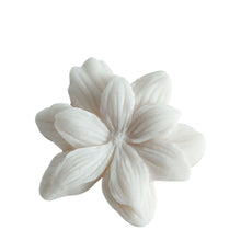 Charger l'image dans la galerie, Box of 4 Jasmine Melting Decorations in Scented Wax - Sublime Jasmin..
